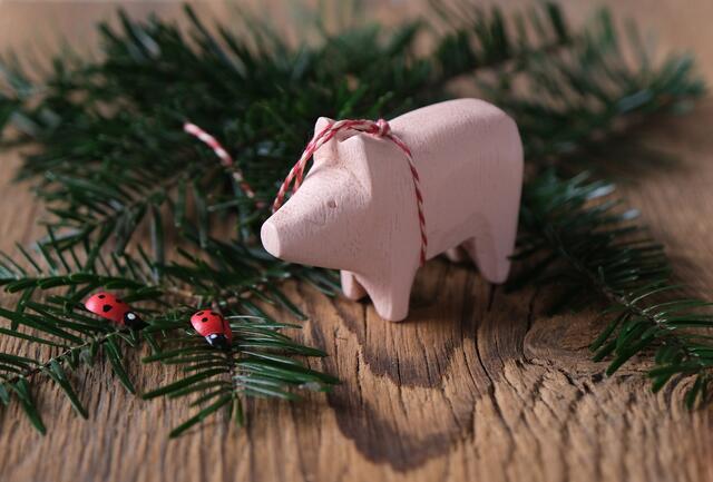 So süß waren die Schweine der Germanen nicht. | Foto: Symbolbild - pixabay