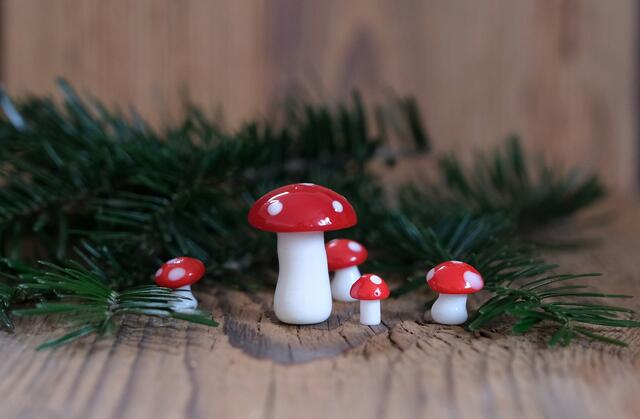Fliegenpilze gelten als magisch und bringen Glück. | Foto: Symbolbild - pixabay