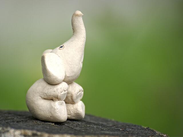 Elefanten werden besonders in Indien als Glücksbringer verehrt. | Foto: Symbolbild - pixabay