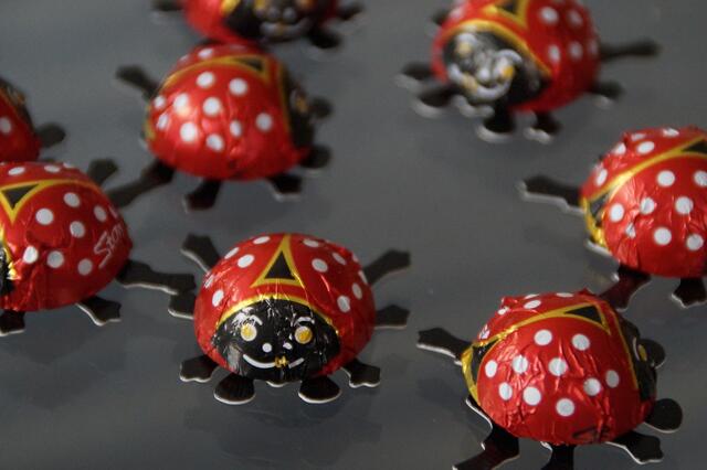 Marienkäfer sollen besonders Kindern Glück bringen. | Foto: Symbolbild - pixabay
