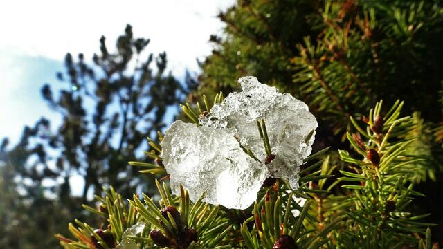 Heuer sind weiße Weihnachten so gut wie ausgeschlossen. In Klagenfurt, Linz, Innsbruck und Salzburg liegt die Wahrscheinlichkeit bei zehn Prozent, in allen anderen Landeshauptstädten sogar nur bei fünf Prozent. 