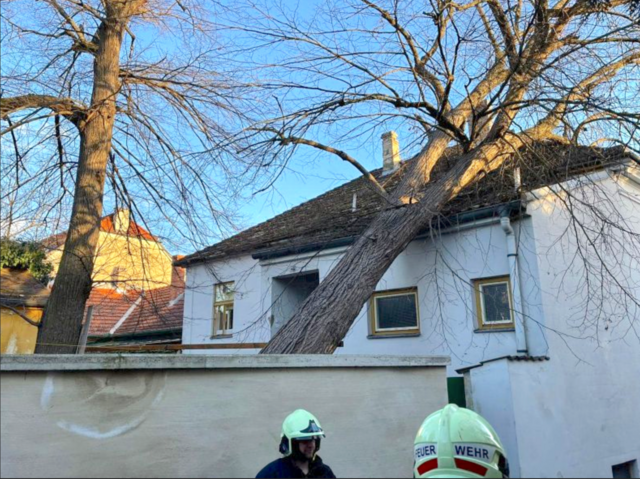 In Langenlois stürzte ein Baum auf ein Dach. | Foto: FF Langenlois