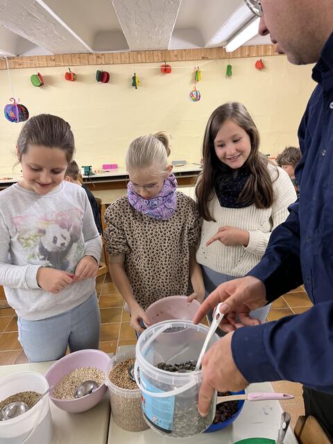 Foto: Volksschule Podersdorf am See