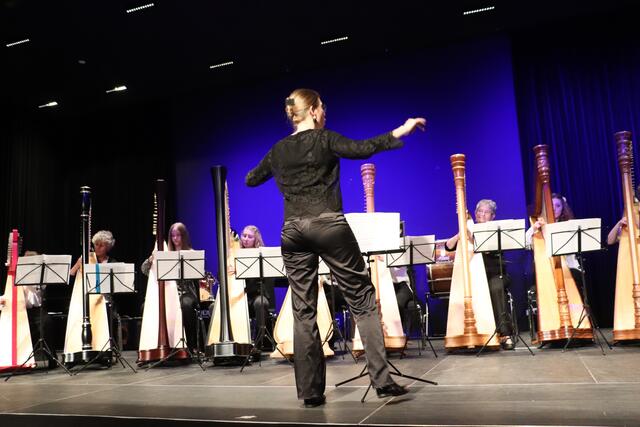Unter der Leitung von Mona Smale spielten 16 Harfinistinnen Chaconne und "Das Lied vom leisen Weihnachten".  | Foto: Edith Ertl