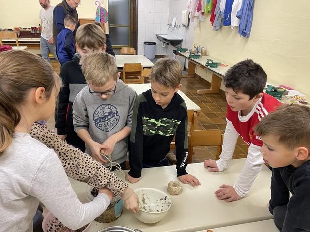 Foto: Volksschule Podersdorf am See