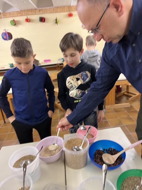 Foto: Volksschule Podersdorf am See