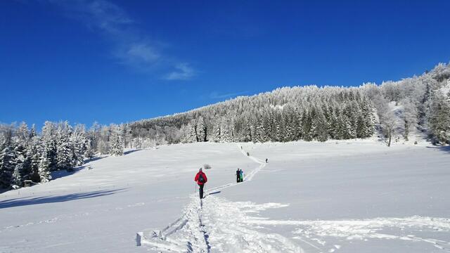 Impressionen vom schneereichen Winterzauber am Unterberg ... | Foto: Silvia Plischek