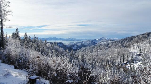 Ausblick vom Unterberg zum Gippel-Göller-Zug (mittig) &amp; zur Jochart (re.) | Foto: Silvia Plischek