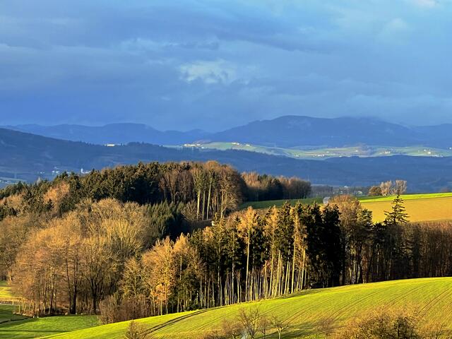 Blick ins Waldviertel.

 | Foto: Franz Dörr