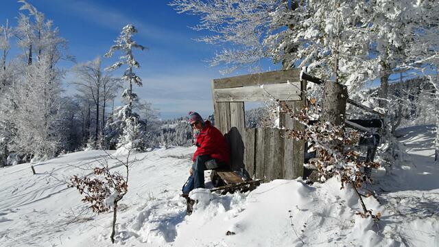 Willkommen im Naturschneeparadies Unterberg! | Foto: Silvia Plischek