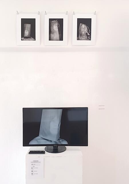 Foto- und Videoarbeit von Priska Leutenegger im Dinzlschloss