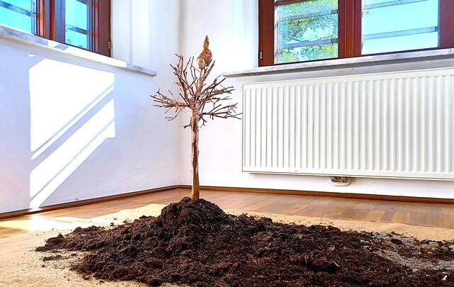 Arbeit von Barbara Ambrusch-Rapp im Dinzlschloss | Foto: Ambrusch-Rapp