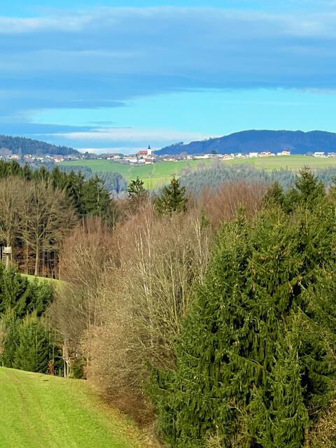 Blick ins Waldviertel - Marktgemeinde Nöchling 

 | Foto: Franz Dörr