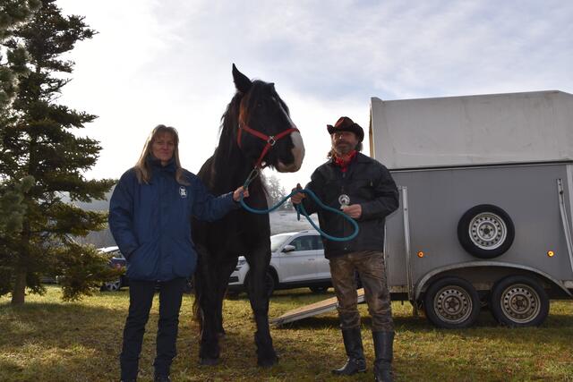 Gundi Ragger, Noriker Hengst "Hannibal" und Gerhard Pucher. 