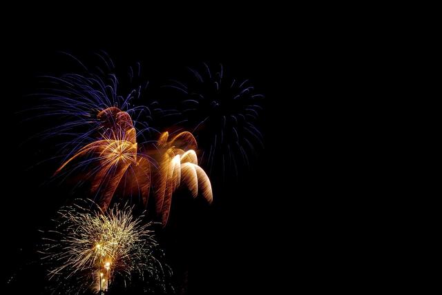 Einmal mehr appelliert der Naturschutzbund, keine Raketen und Feuerwerkskörper in Waldgebieten, Parkanlagen oder anderen Rückzugsräumen von Wildtieren und Vögeln abzufeuern.  | Foto: Pixabay