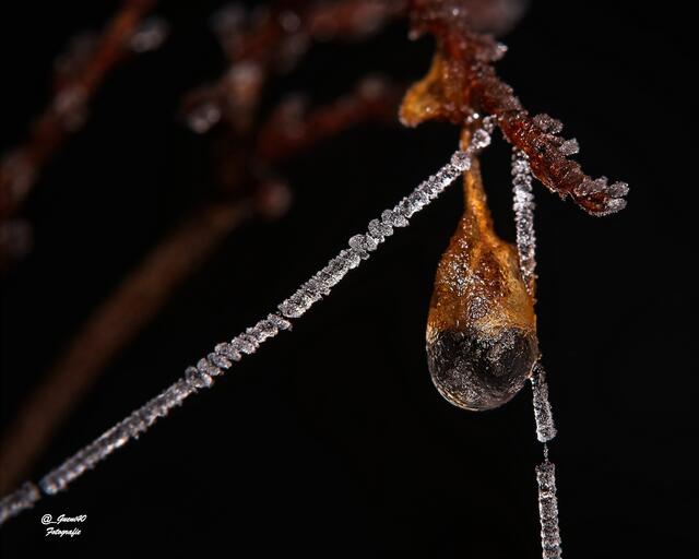 ..........die Perlenkette hat sich drübergelegt....