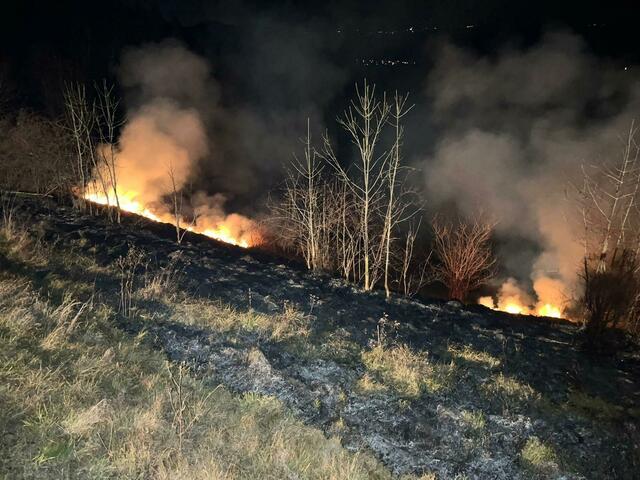 Wald und Wiesen standen in Brand. Die Feuerwehr bittet aufgrund der ohnehin schon trockenen Böden von Raketen und Co. abzusehen. | Foto: FF Eisbach-Rein/FB