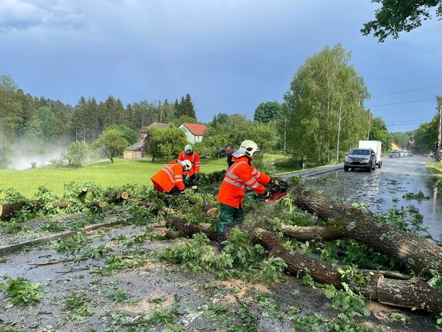 Schwere Unwetter in Österreich: Umgestürzte Bäume blockierten die Straßen. | Foto: FF Gmünd