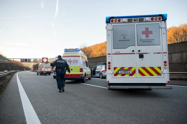 Foto: TEAM FOTOKERSCHI.AT / SCHARTNER