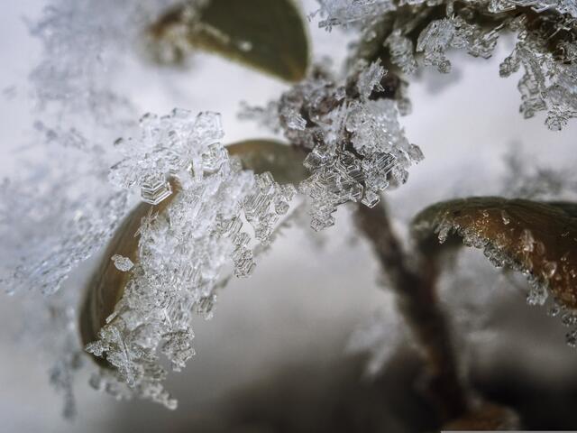 In der früh frostig, später dann einmal mehr Tauwetter bei Höchstwerten bis zu 10 Grad. Das ist das Wetter am 30. Dezember in Niederösterreich. | Foto: pixabay