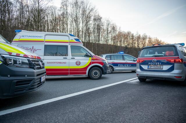 Foto: TEAM FOTOKERSCHI.AT / SCHARTNER