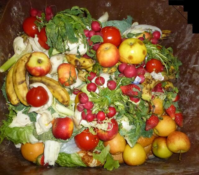 Nein - das ist kein Obst- und Gemüsebuffet - das ist leider der Inhalt einer Biotonne...