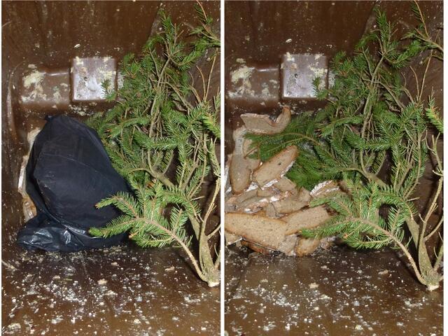 Sehr wichtig ist auch, dass das geschnittene Brot immer in einen Plastiksack gegeben wird, bevor es über die Biotonne entsorgt wird.