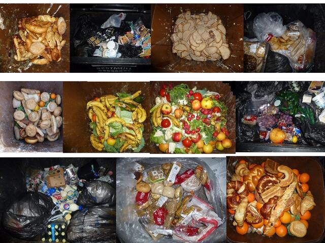 Mahlzeit - liebe Leser!
Auch heuer zu Weihnachten ging es uns augenscheinlich SEHR gut. 
Diese Fotozusammenstellung ist ein kleiner Ausschnitt aus den Inhalten von 11 Mülltonnen.
Wie viele Restmülltonnen können Sie erkenen?