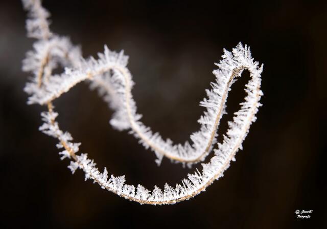 .....ein Motiv,das man normal nie fotografiert,erscheint auch durch den Frost interessant ....