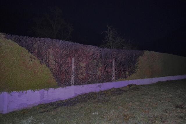 Der Brand der Hecke war rasch gelöscht. | Foto: TEAM FOTOKERSCHI.AT / RAUSCHER
