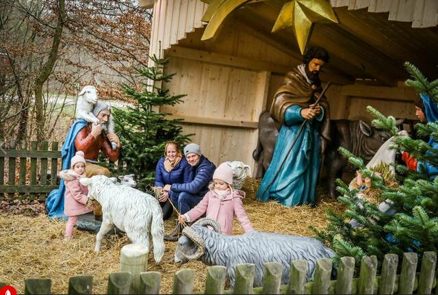Die Krippe erfreut Jahr für Jahr die Besucherinnen und Besucher des Lainzer Tiergartens. | Foto: Anni Dersch