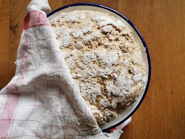 Den Teig eine Stunde bei Zimmertemperatur rasten lassen. | Foto: Katrin Ebetshuber