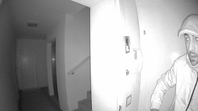 Ein Mann soll sich über den Balkon Zugriff zu einer Wohnung in der Döblinger Krottenbachstraße geschafft haben. | Foto: LPD Wien