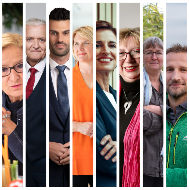 Foto: meinbezirk.at; SPÖ, FPÖ, GRÜNE, NEOS, MFG, KPÖ, Julia Gruber