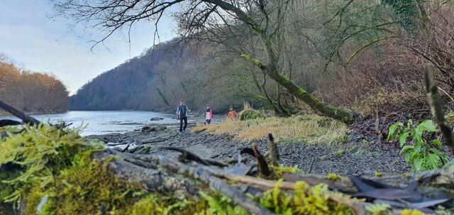Ein wahres Naturerlebnis an der Mur | Foto: Boris Besiak
