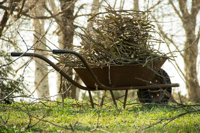 Garten-Tipp: Äste und Zweige mit Grünabfällen sinnvoll weiterverarbeiten
