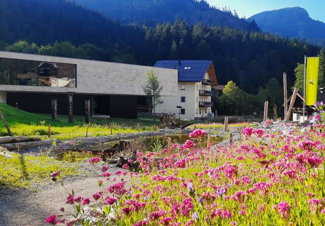 Vor dem BesucherInnen-Zentrum in HInterriß blüht seit 2022 eine bunte Blumenwiese. | Foto: © Naturpark Karwendel