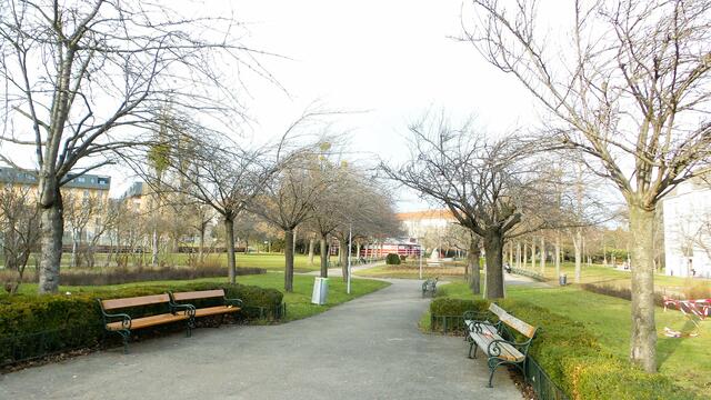 Zierkirschenallee im Herderpark | Foto: Atelier Then