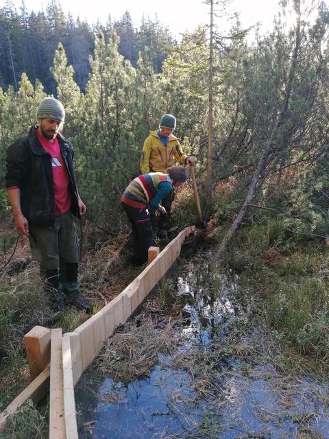 m Naturpark Kaunergrat wurde 2022 das Piller Moor renaturiert.  | Foto: © Naturpark Kaunergrat