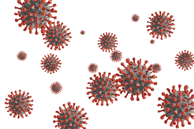 Seit gestern gibt es laut dem Epidemiologischen Meldesystem 83 Neuinfektionen im Burgenland. Aktuell sind 1.219 Personen infiziert.  | Foto: Pixabay