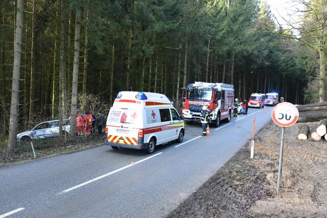 Foto: Alois Braid/zema-medien.de