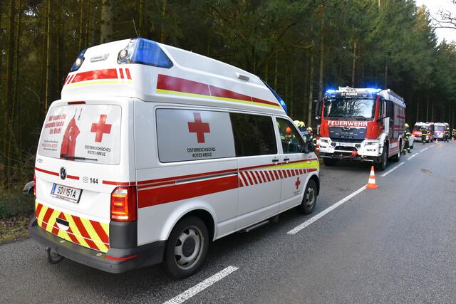 Foto: Alois Braid/zema-medien.de