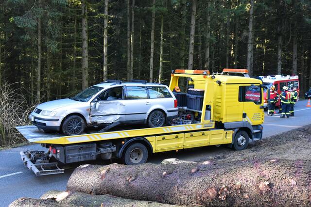 Foto: Alois Braid/zema-medien.de