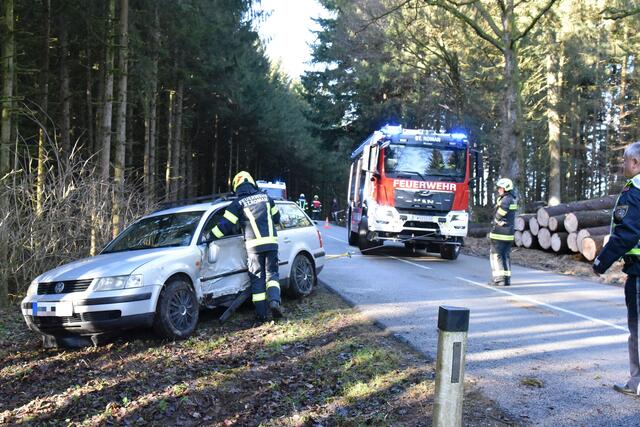 Foto: Alois Braid/zema-medien.de