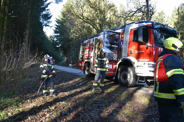 Foto: Alois Braid/zema-medien.de