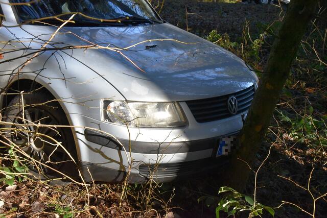 Foto: Alois Braid/zema-medien.de