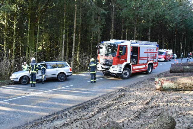 Foto: Alois Braid/zema-medien.de