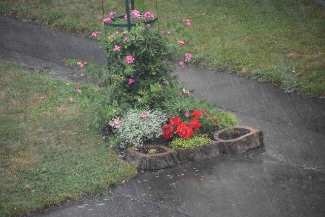 Foto: Michael Strini