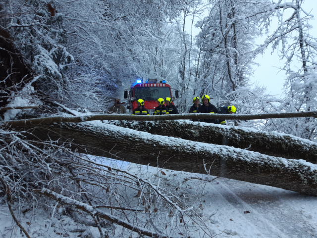 Die Kameraden der FF St. Martin konnten mit Unterstützung des Bauhofes Feldkirchen die Blockade rasch beseitigen. | Foto: FF St. Martin