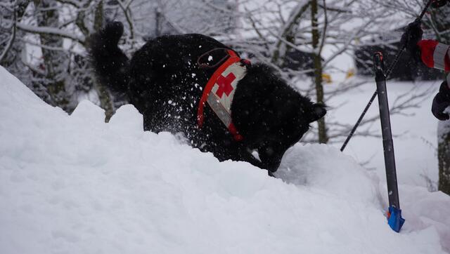 Akira auf der Suche nach einem Verschütteten.
